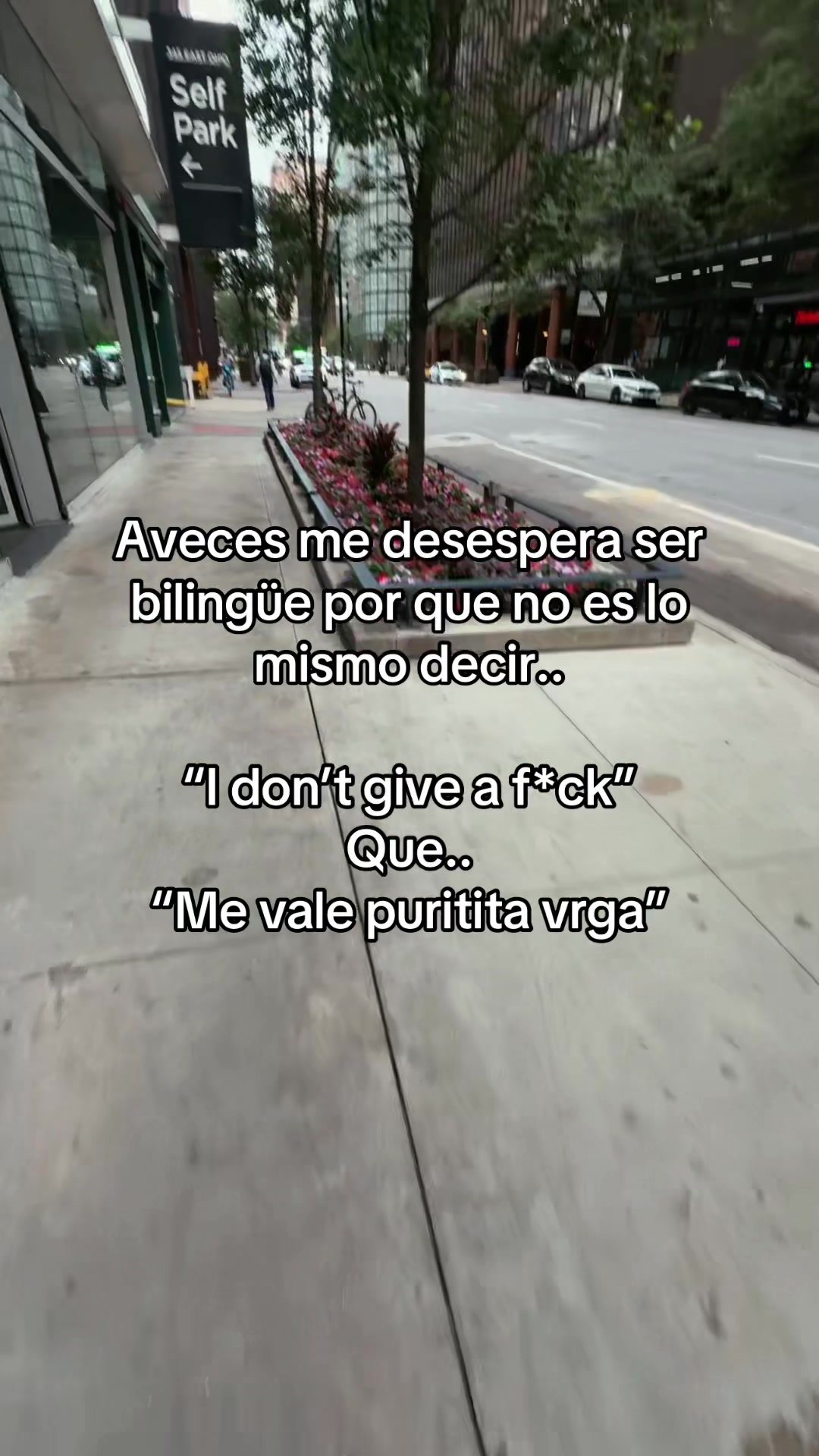 @Yadi