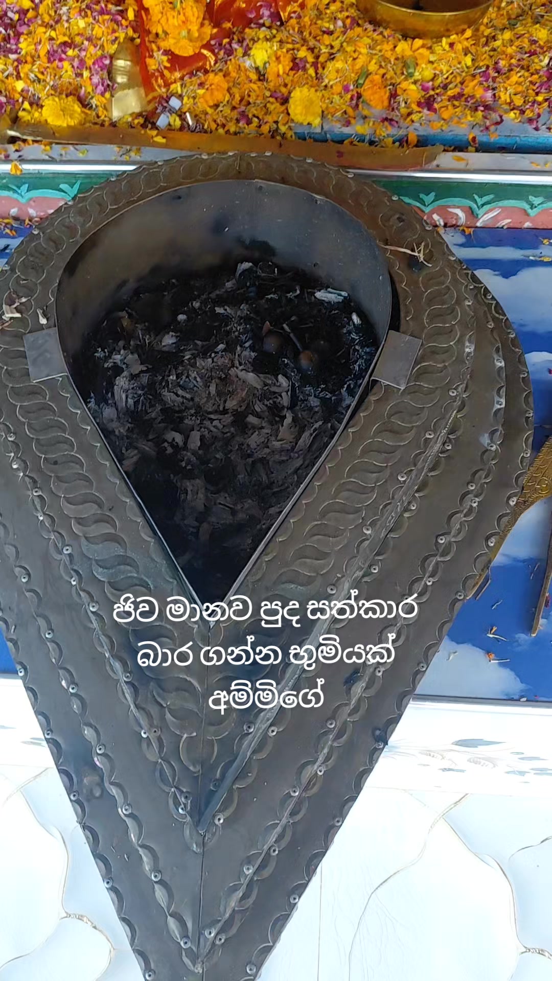 @අම්මා මැණීයෝ (black beauty)