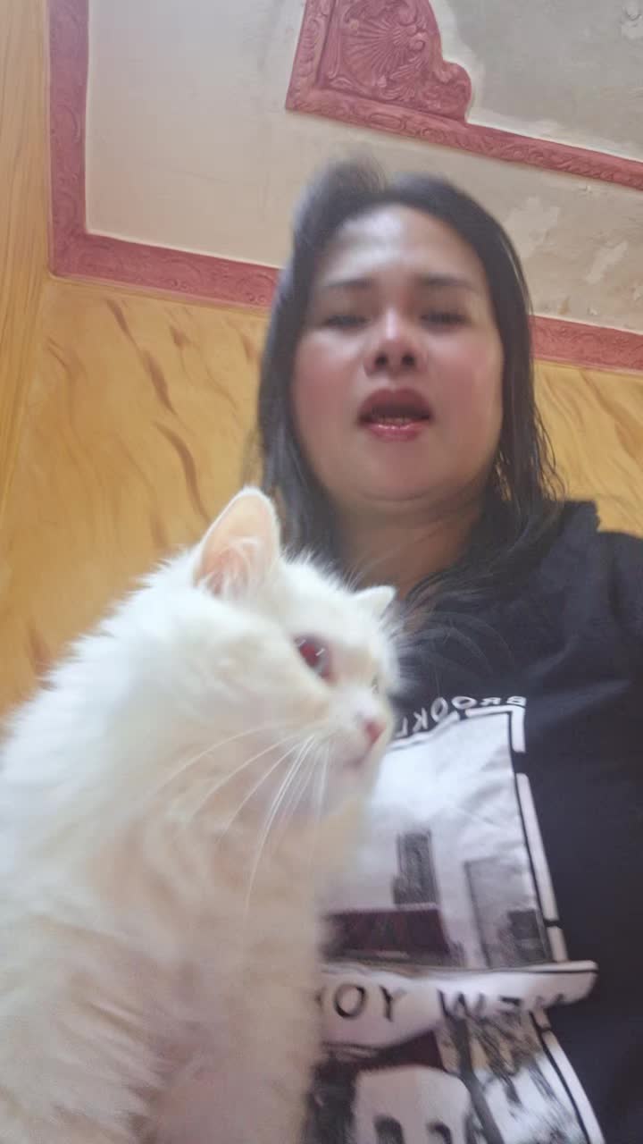 @myfurbabiesinksa