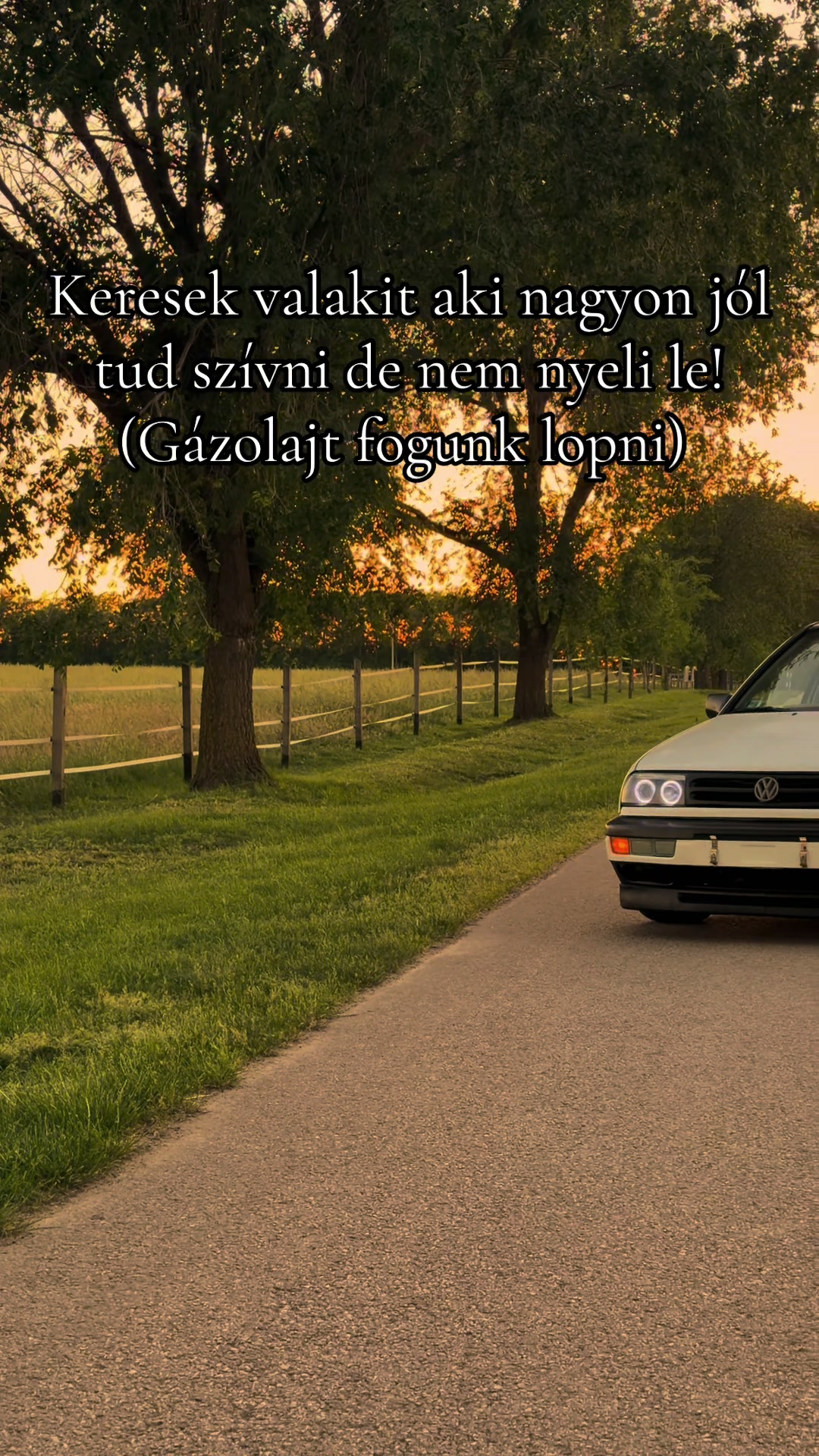 @Gábor Vaskó