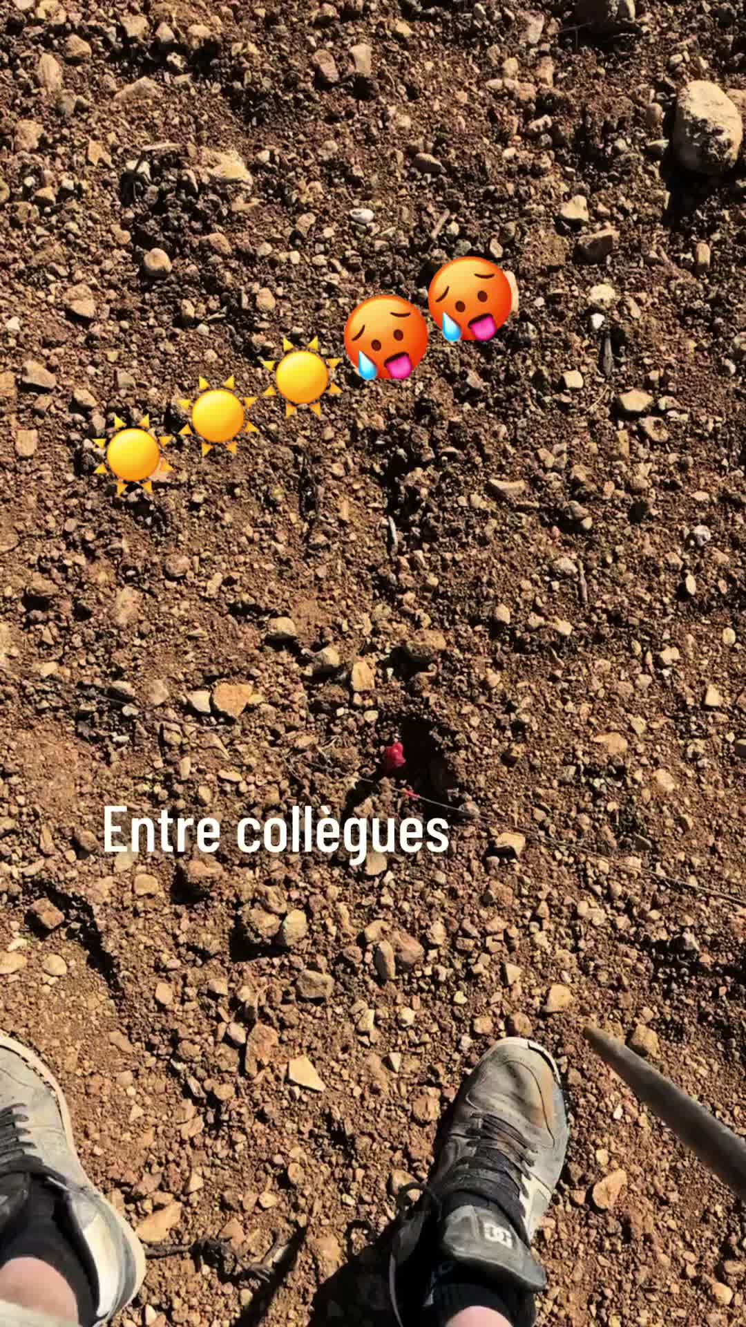 @Nico 🍇🍷🇫🇷