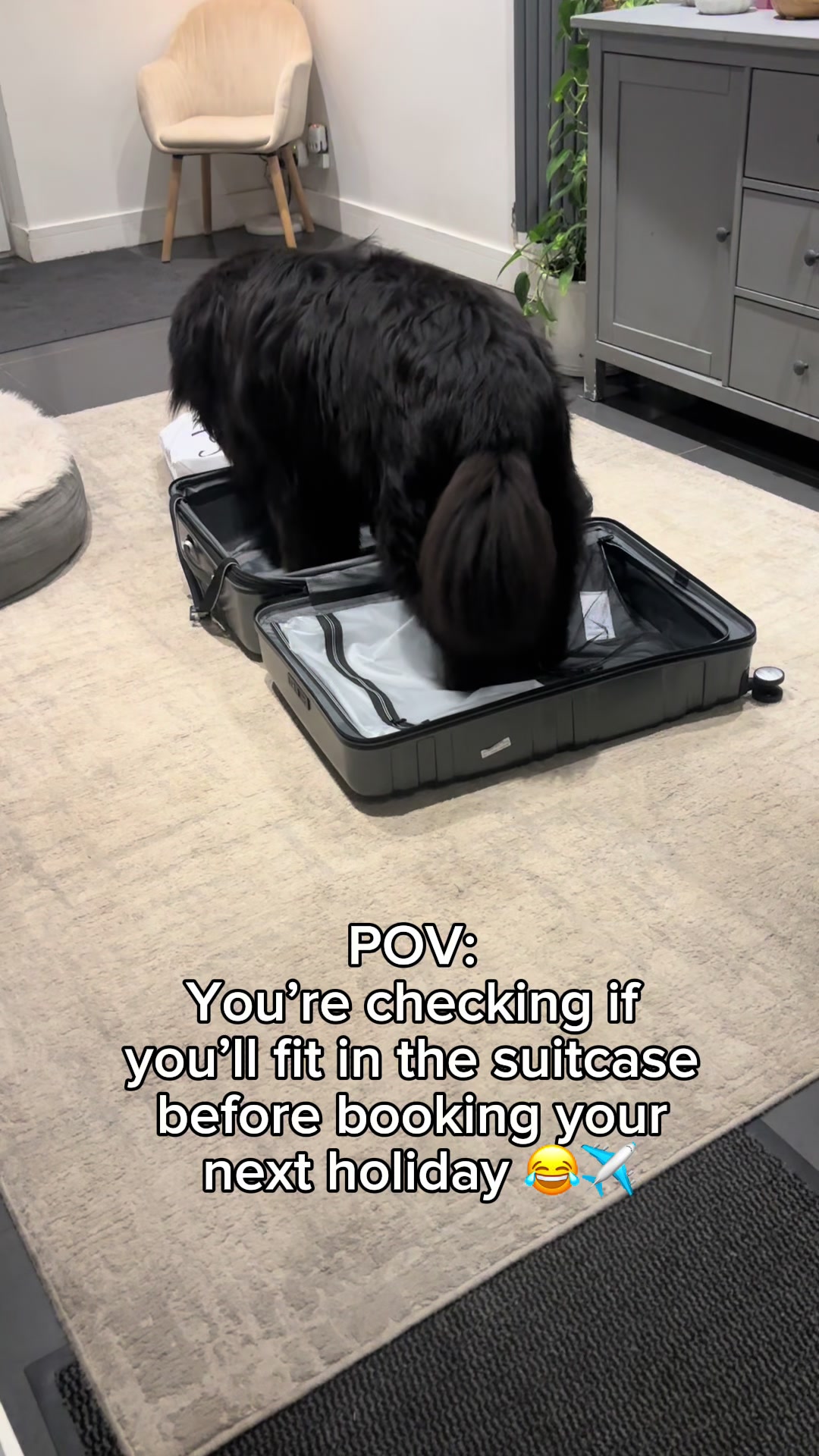 @Newfypups