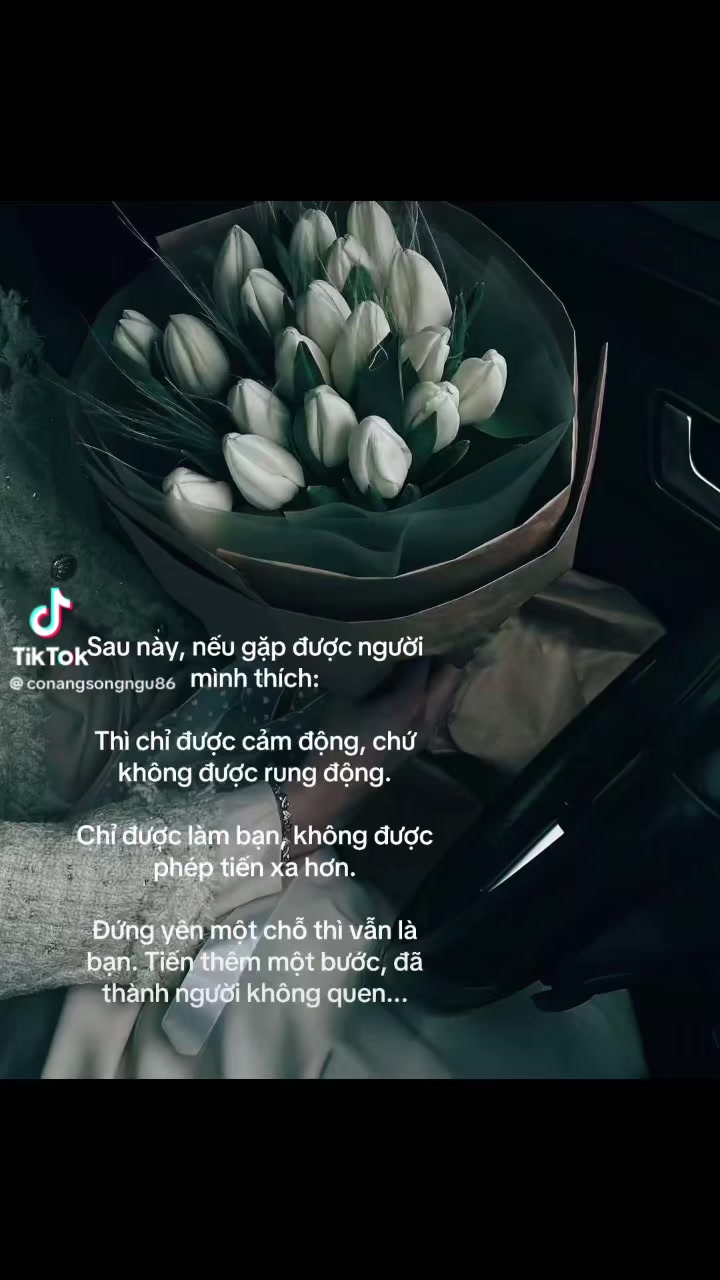 @Em Yêu của Anh Ơi !
