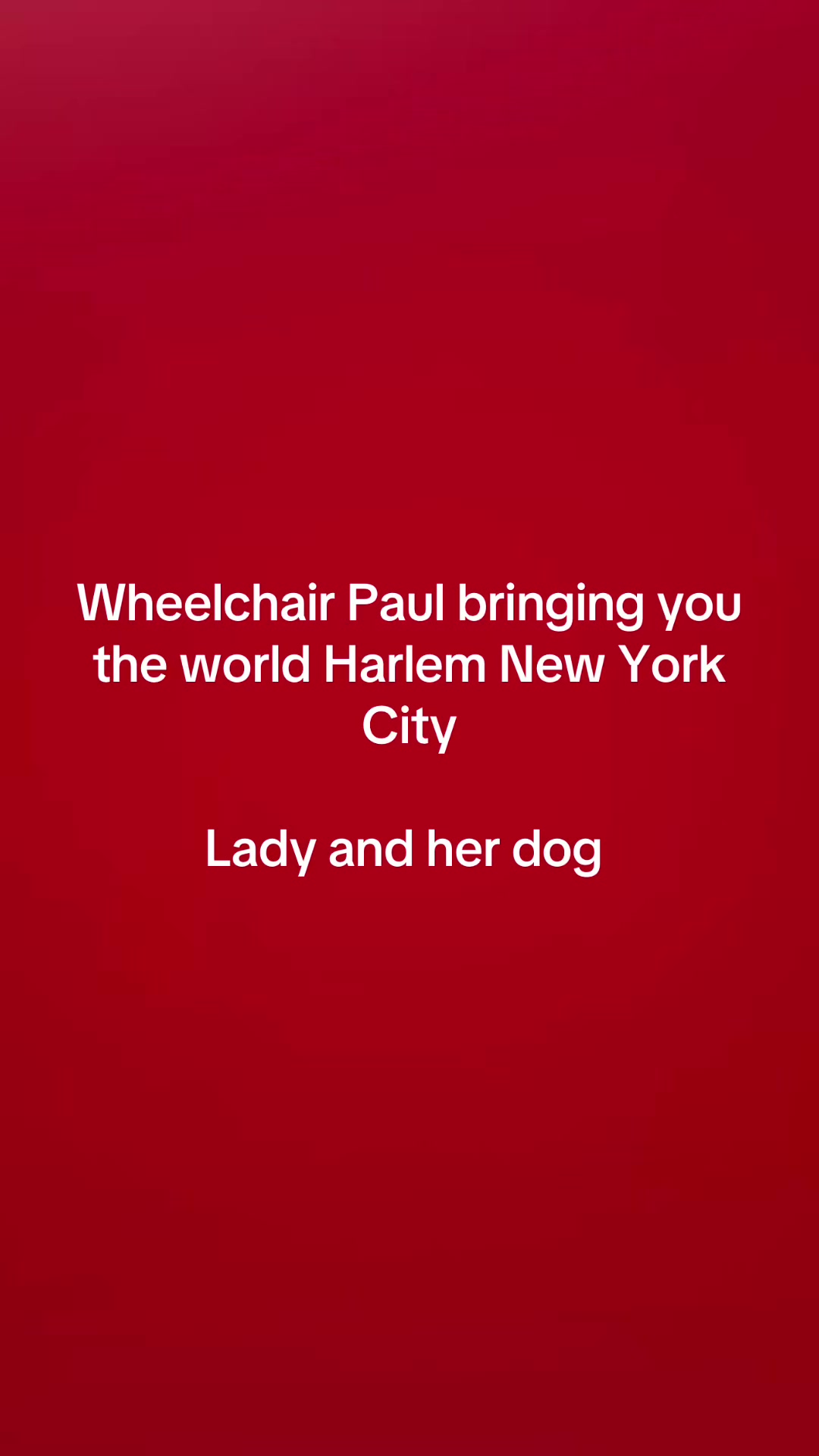 @Paul Nelson