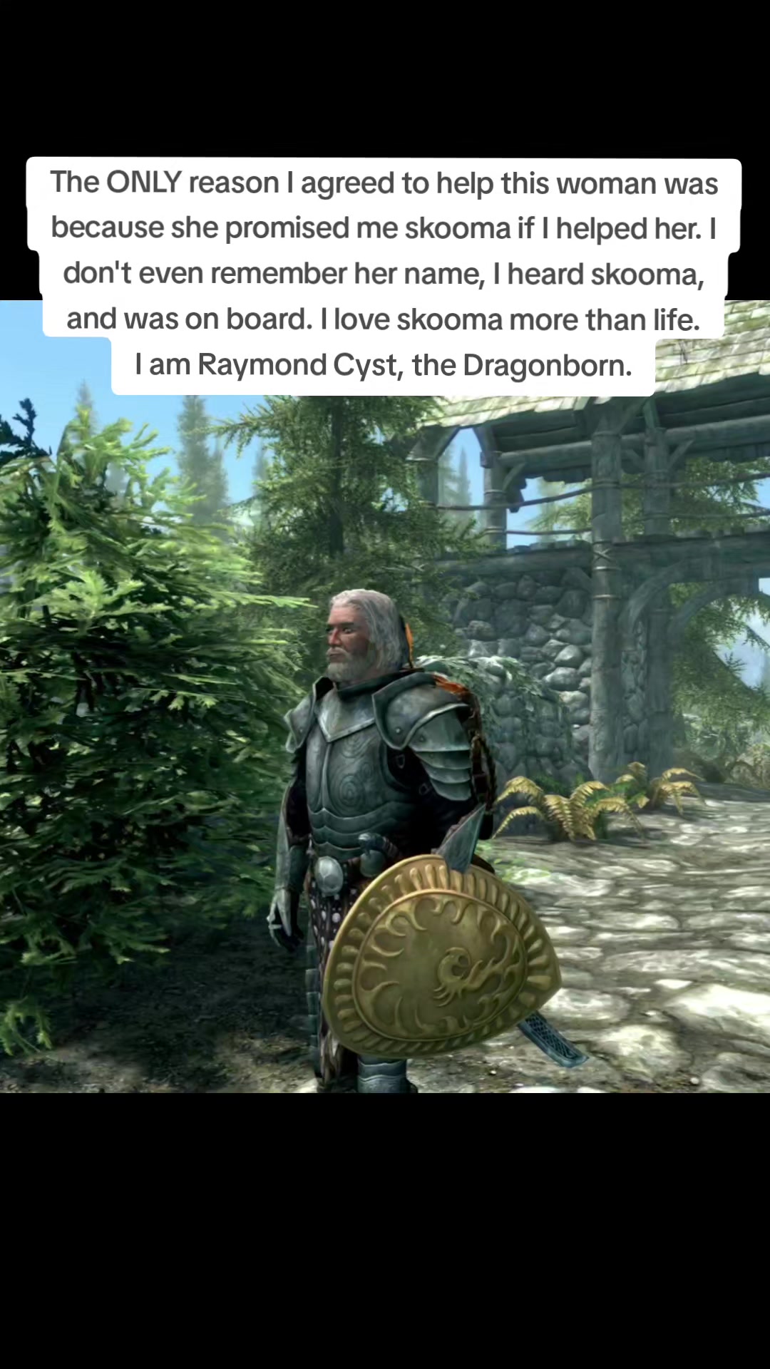 @Raymond Cyst, the Dragonborn