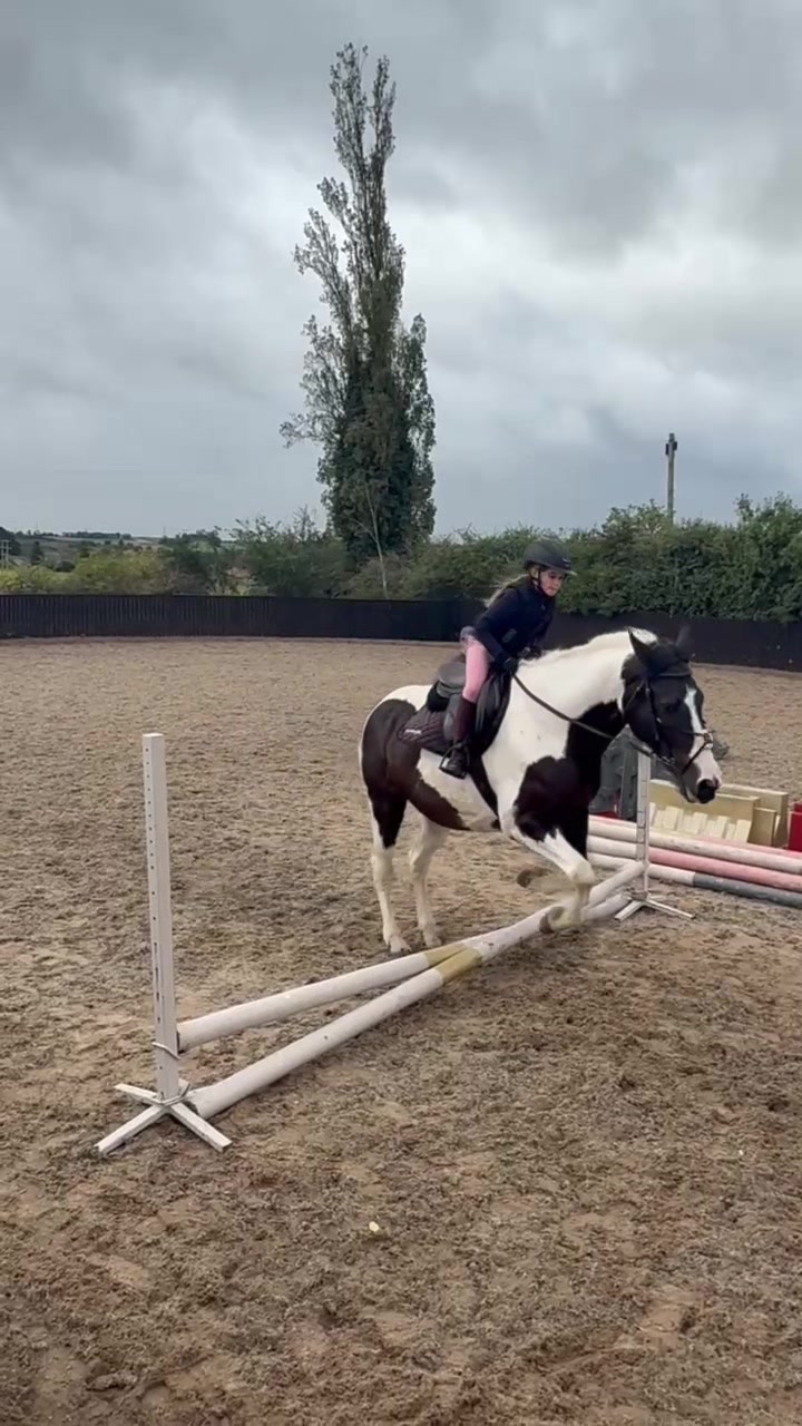 @LottiesHorseAdventures🦄🐴