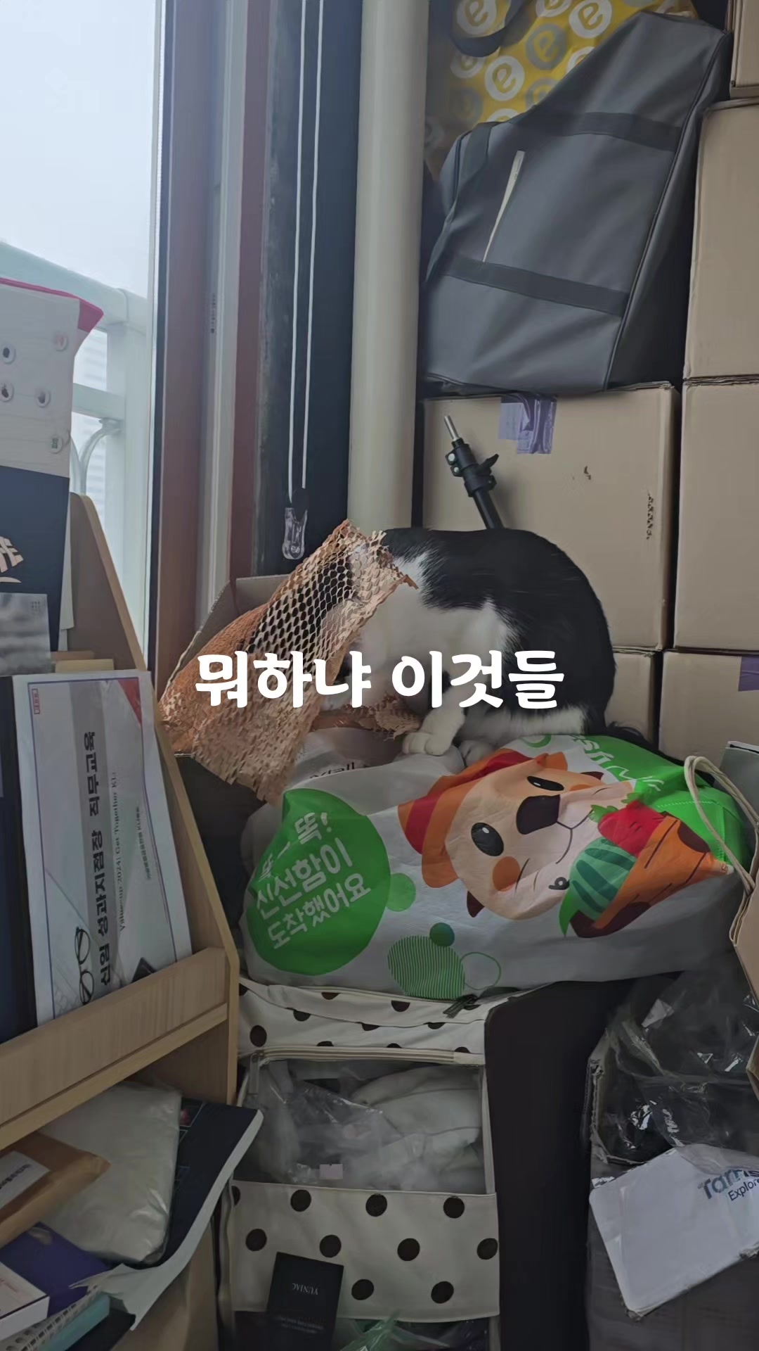@재롬이와 재코