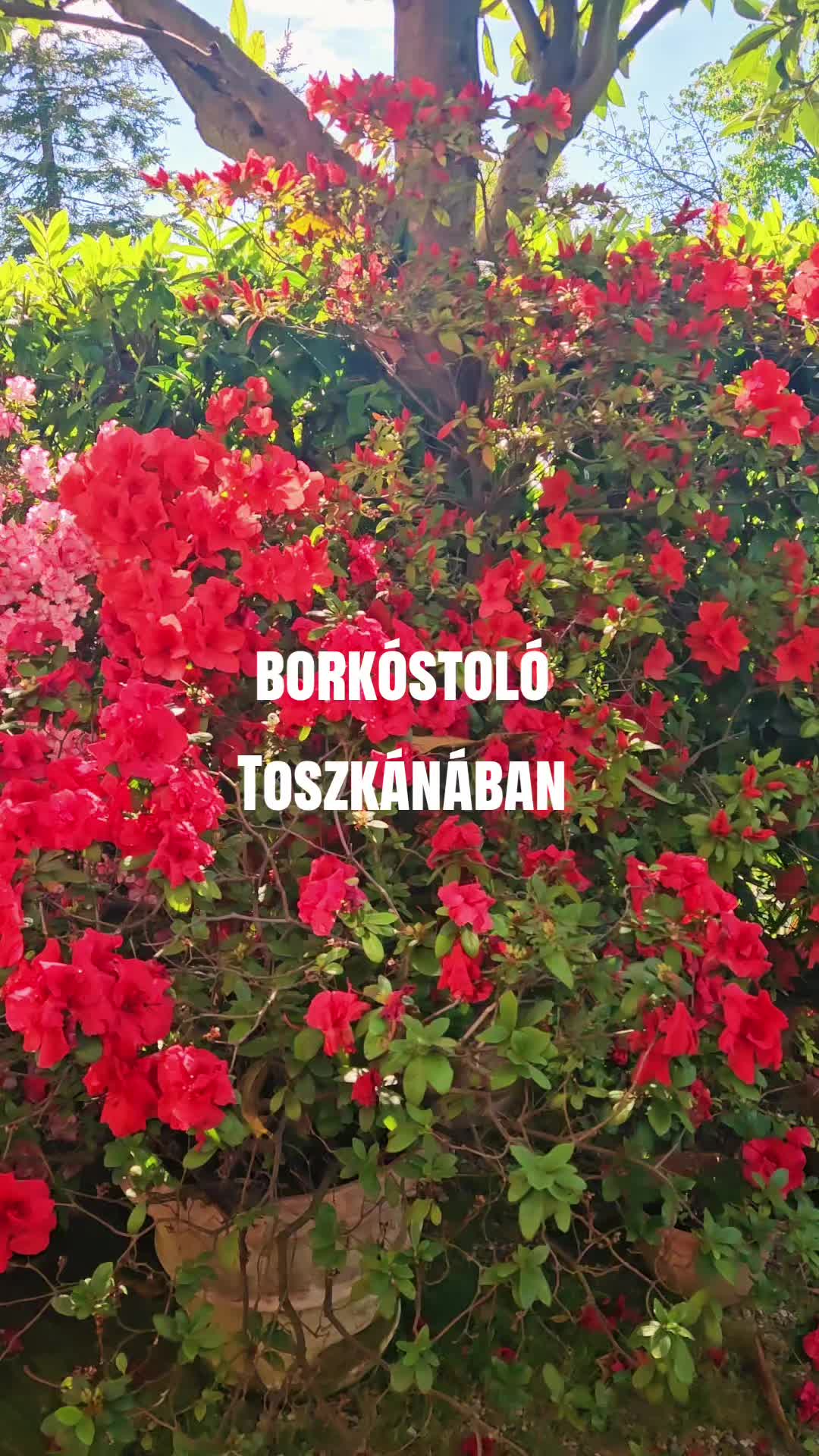 @Toszkána Szállás