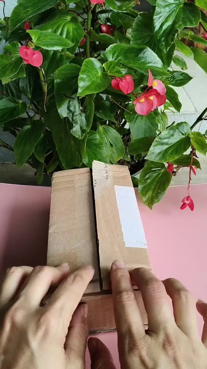 @Nguyễn Thiện Nh&acirc;n