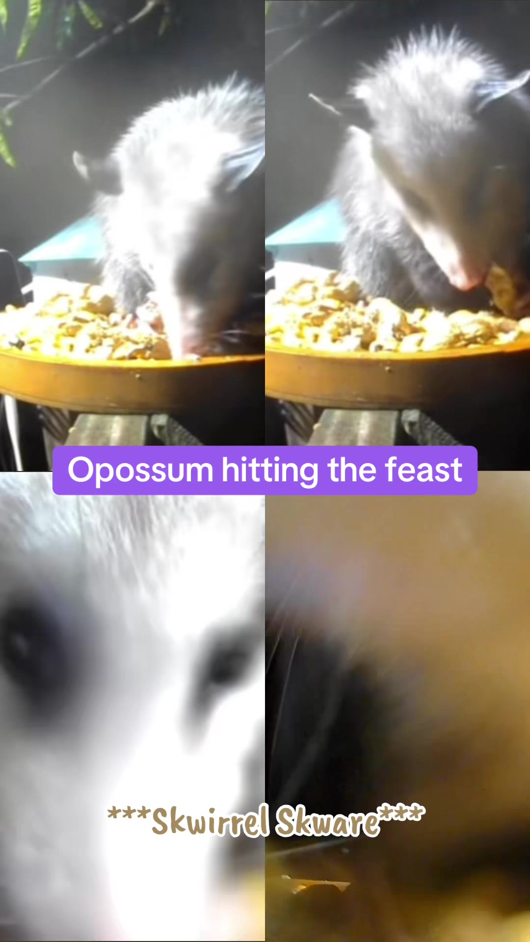 @KeyKle