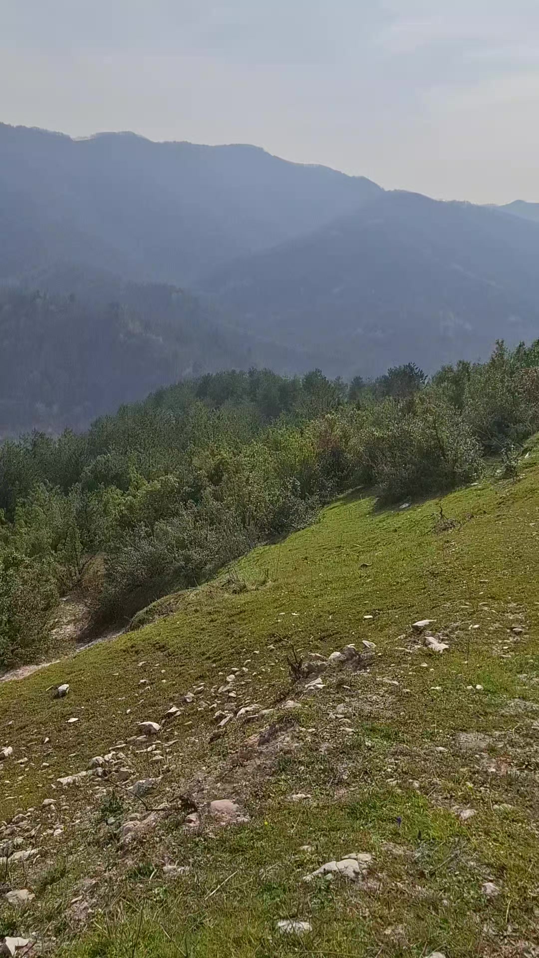 @ERHAN 67