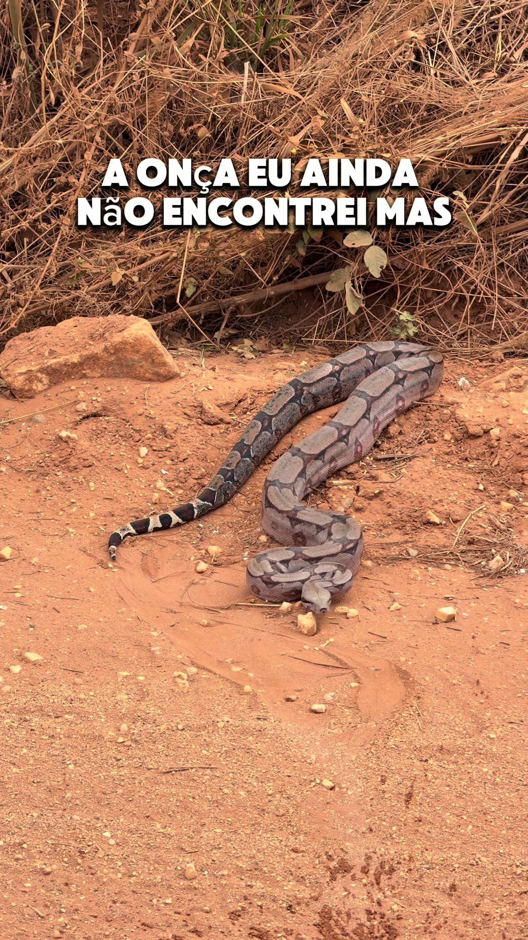 @uaiminerador