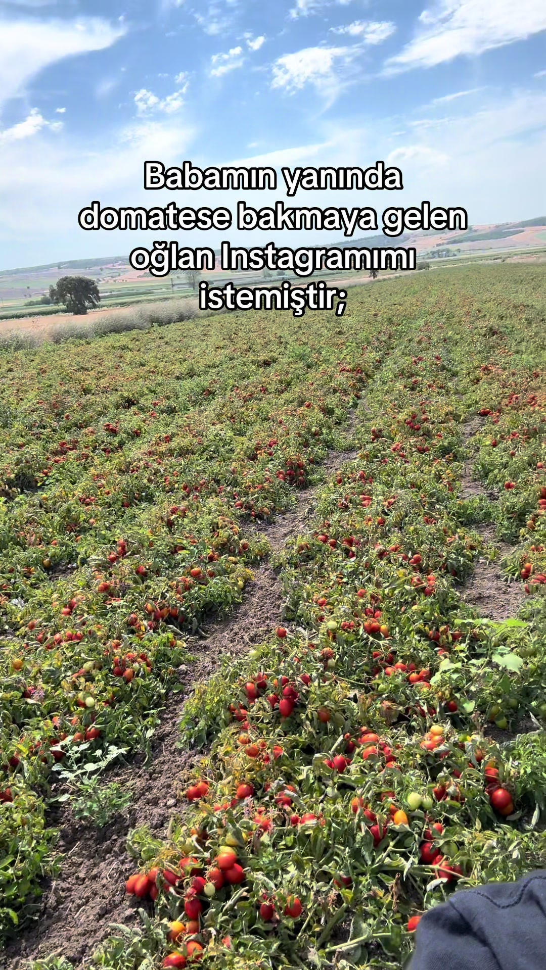 @gozde