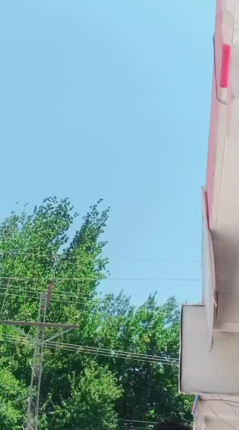 @❣️Khan🇵🇰6830