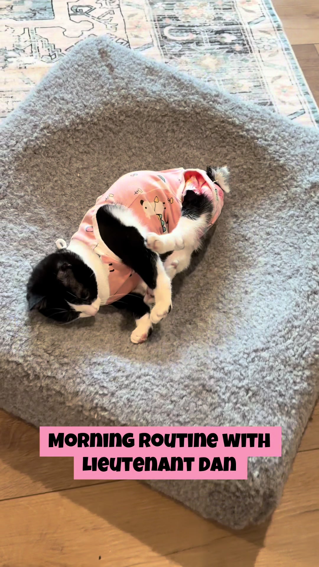 @soccercatmom