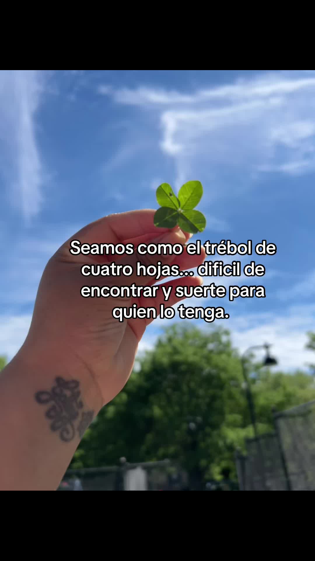 @𝒥𝑜𝒽𝒶_𝓃𝓃𝒶🌸