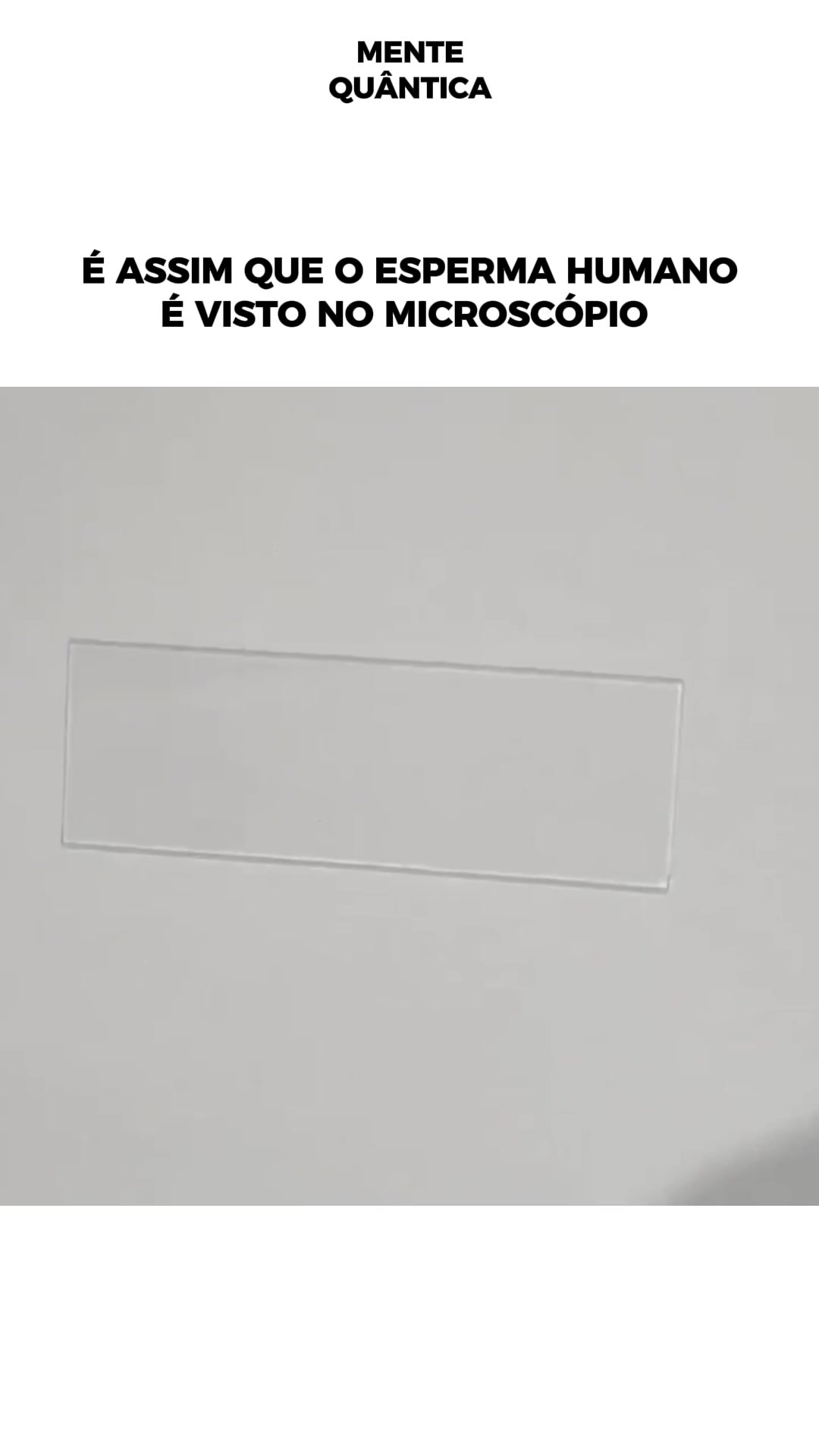 @Mente Qu&acirc;ntica