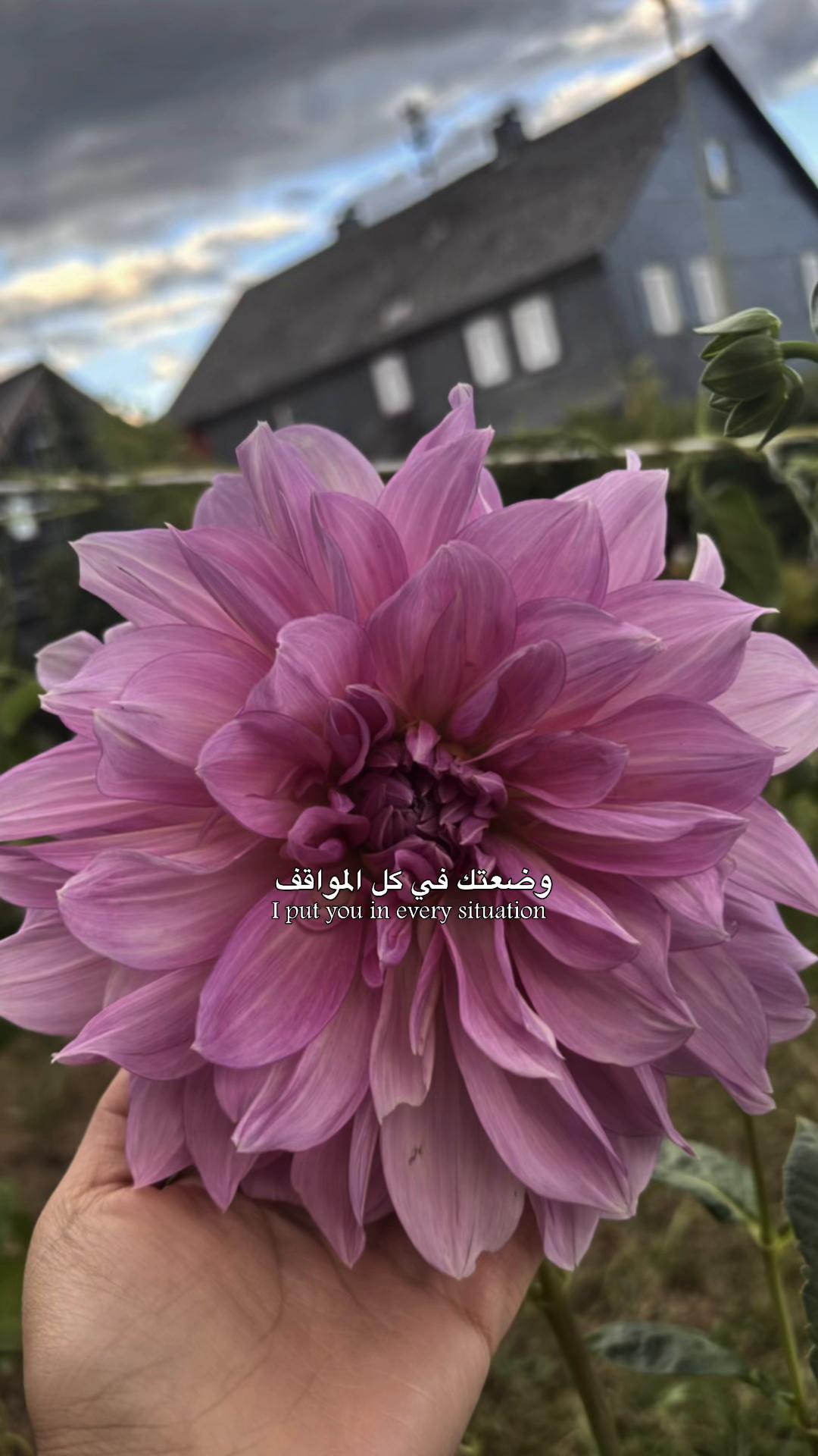 @ɴᴇʀᴠɪɴ|🫀
