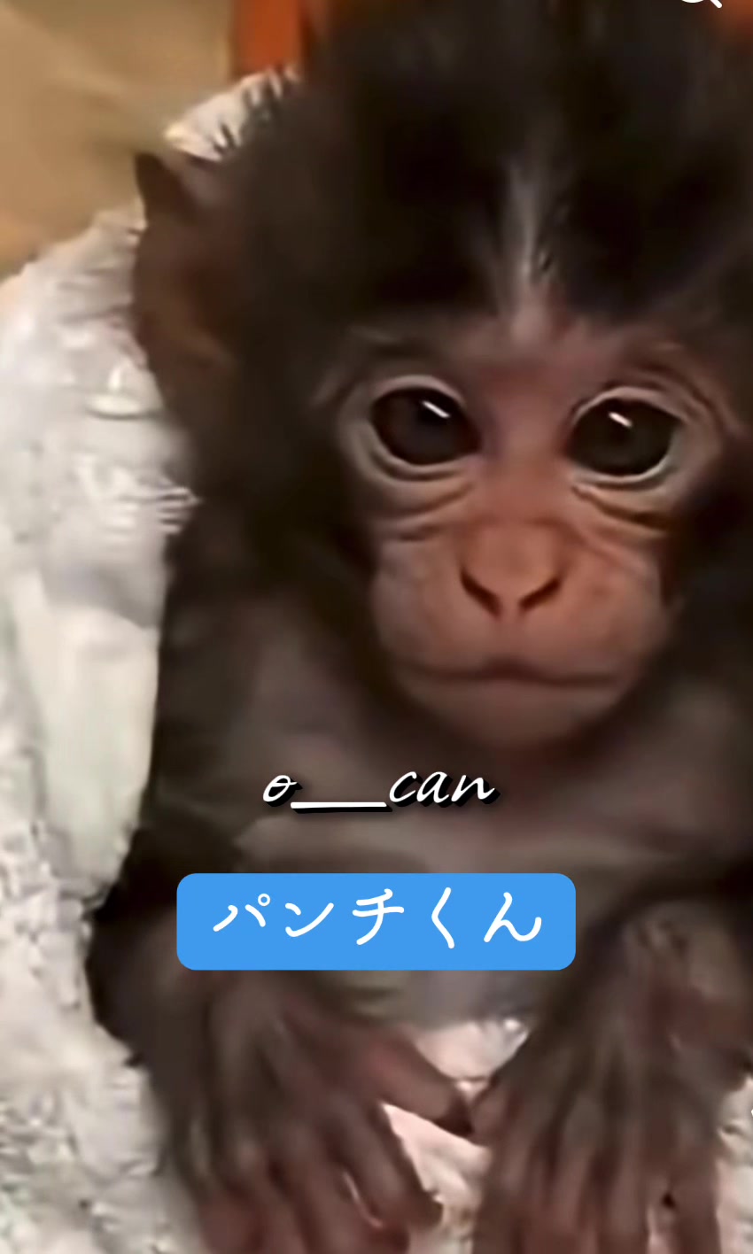 @๐จ๐๐ฟใใใใ๐ฟ๐๐จ