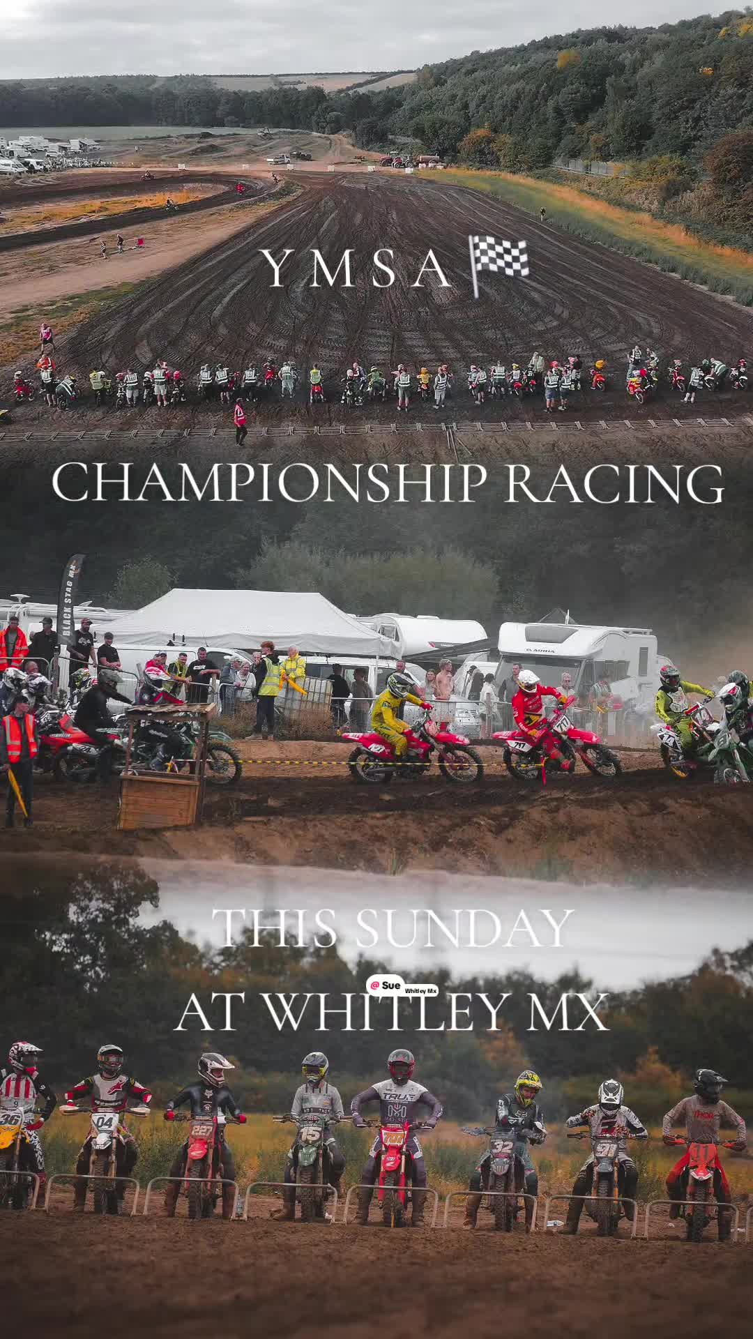 @Whitley Mx