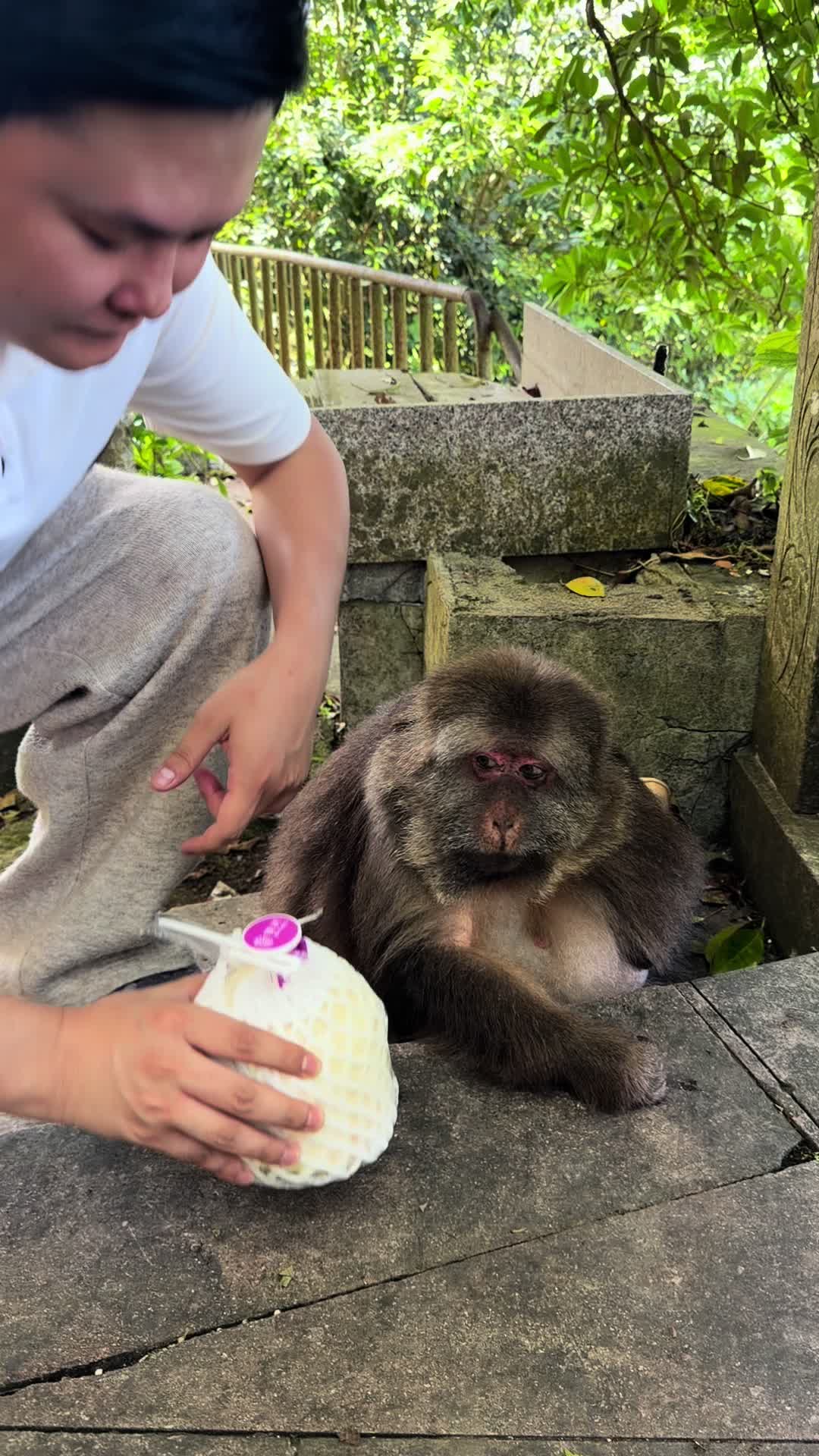@xingxing.themonkey
