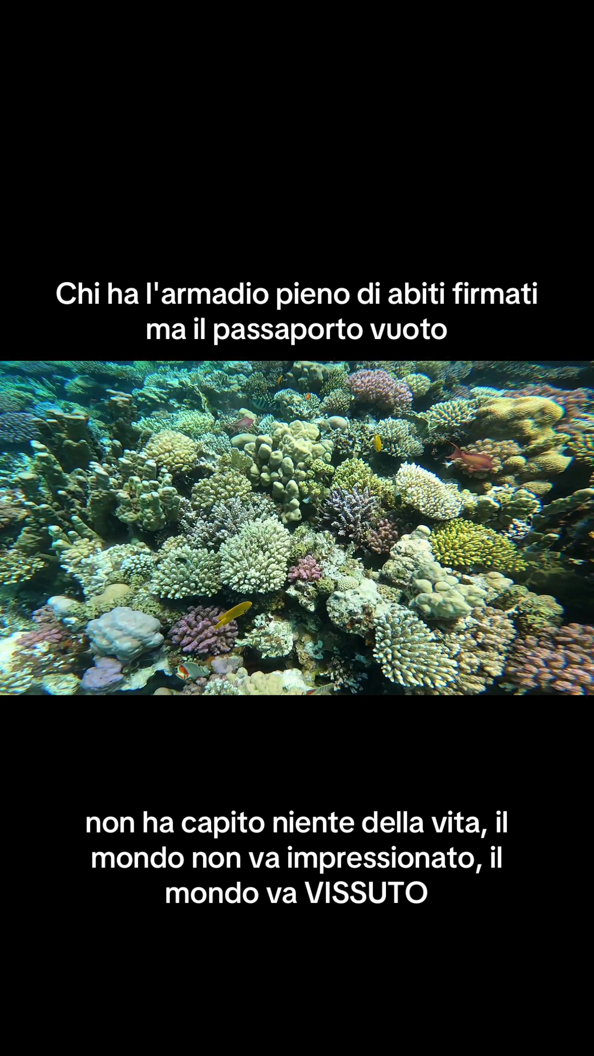 @Seyla/Positività & Mindset