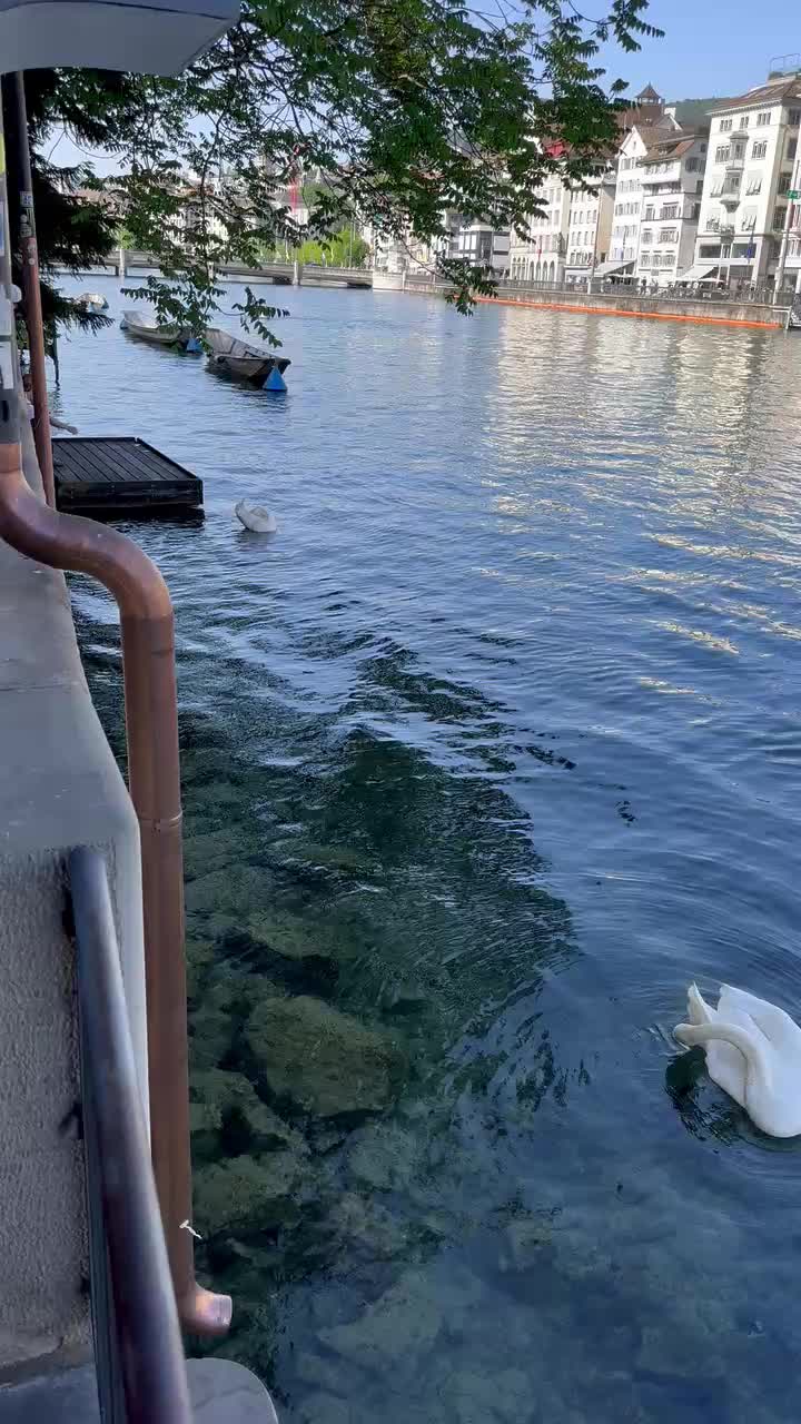 @Κατερίνα