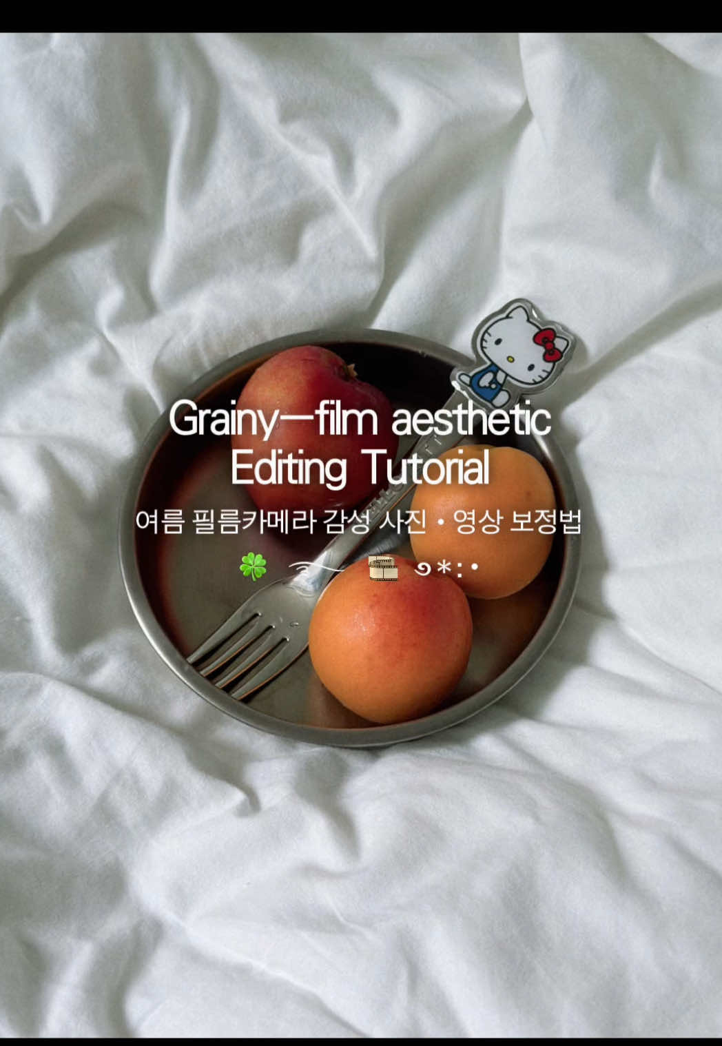 @베리 ベリ🪄