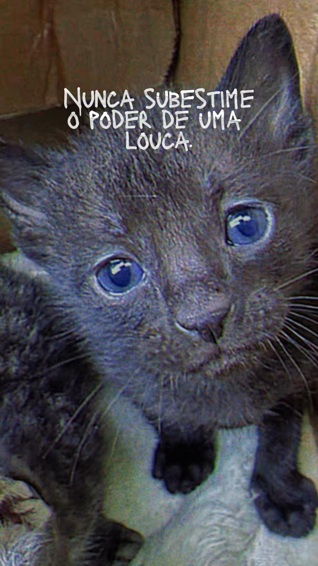 @louquese