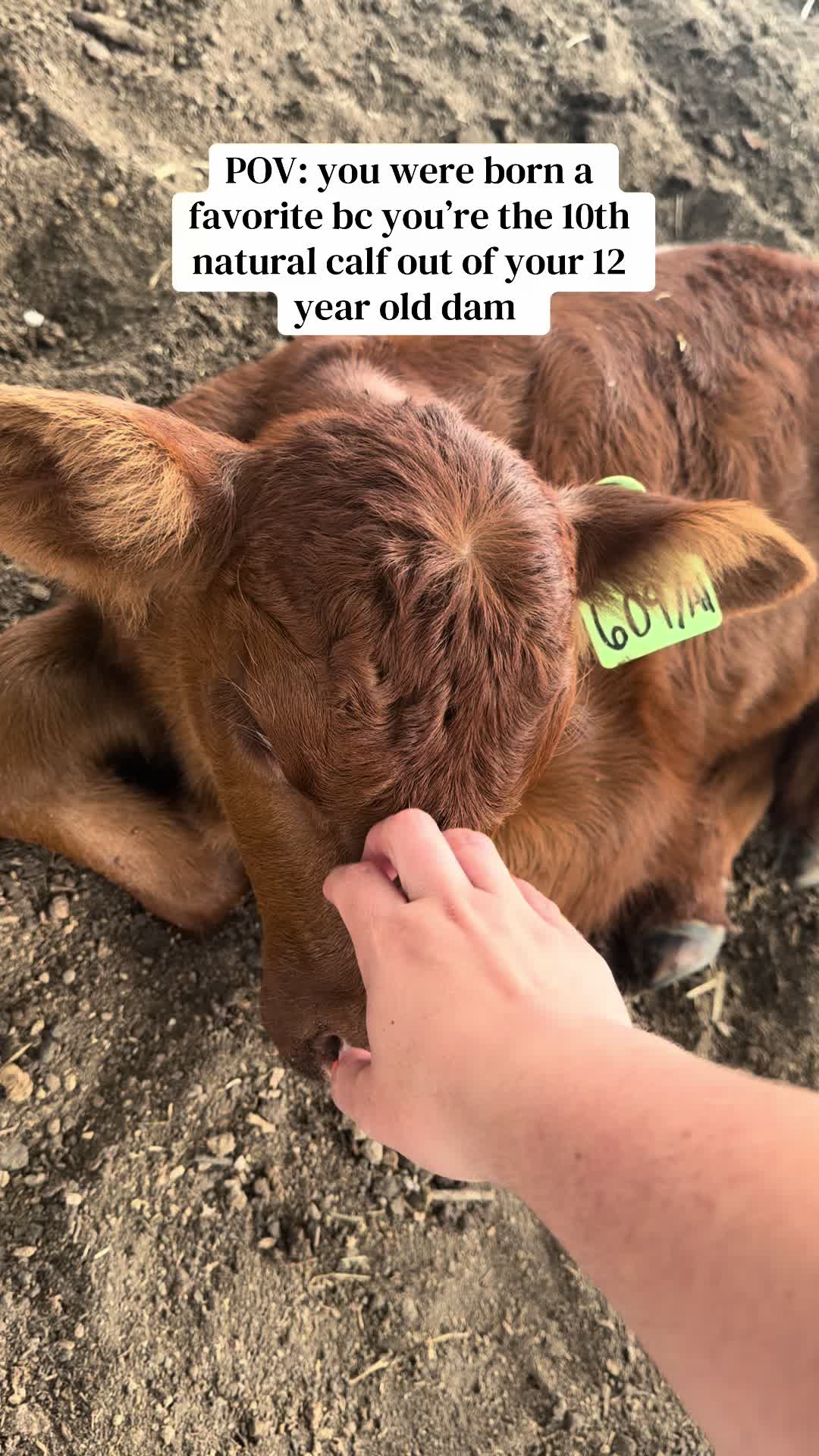 @Greenwood Stock Farms