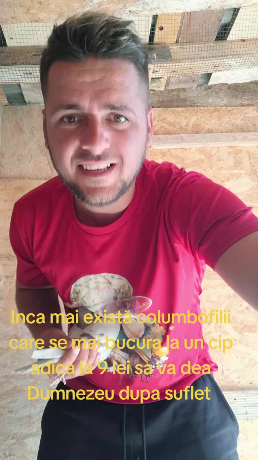 @Andrei Mira