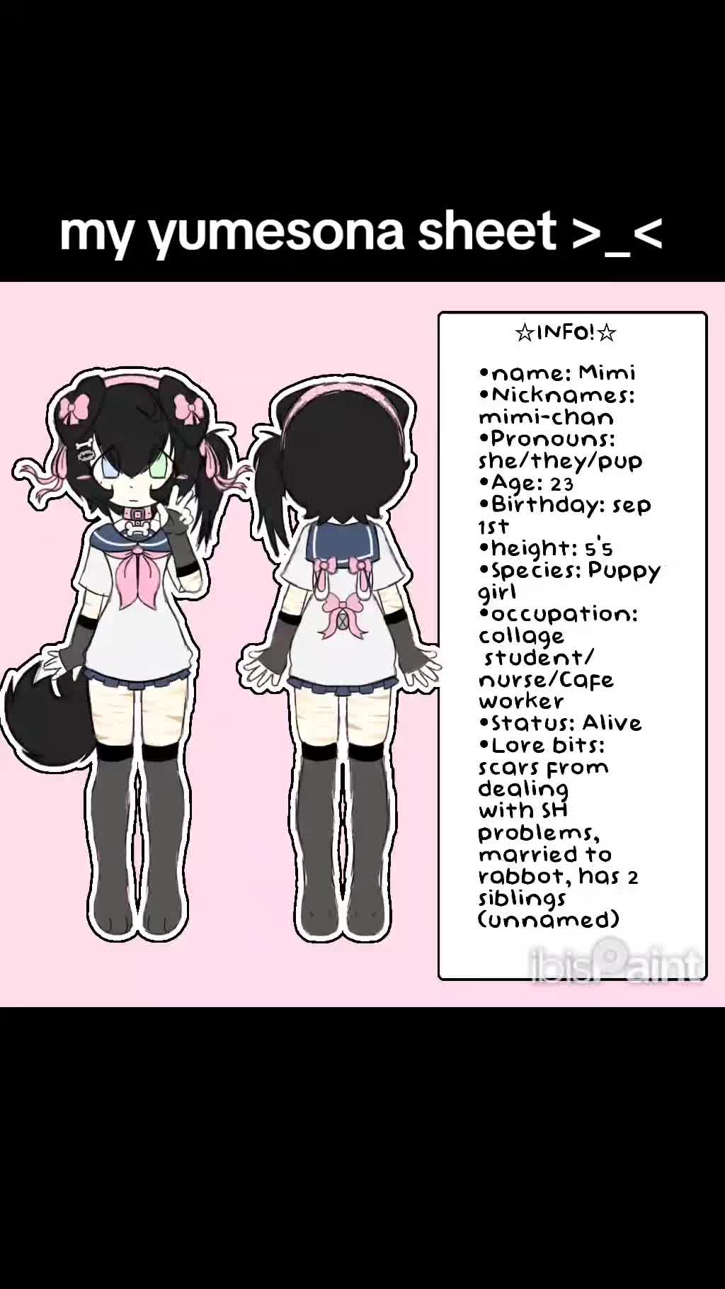 @๐ถ๐Mimi-chan !!๐๐พ