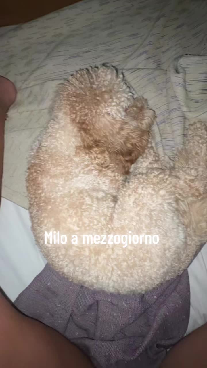 @chiaravivalavida__