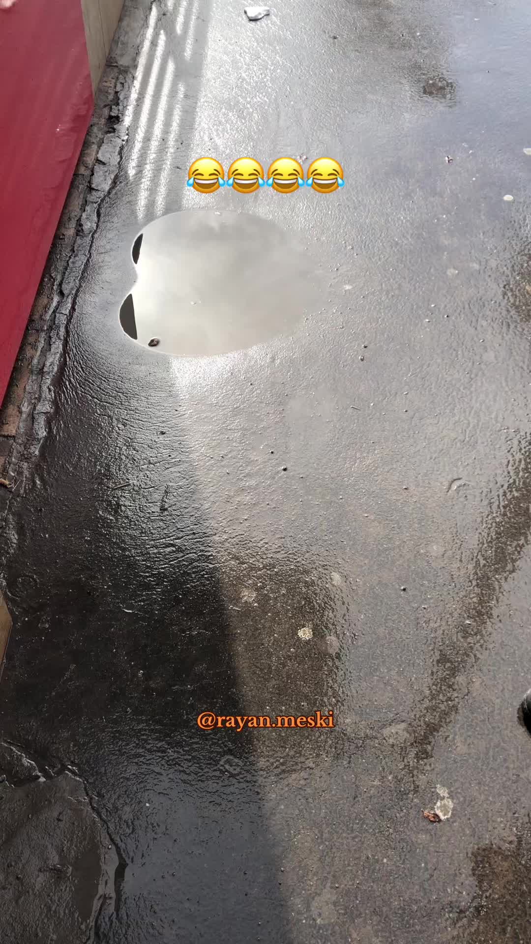 @rayan.lmeski