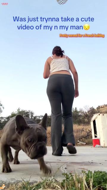 @GoofyGalloper