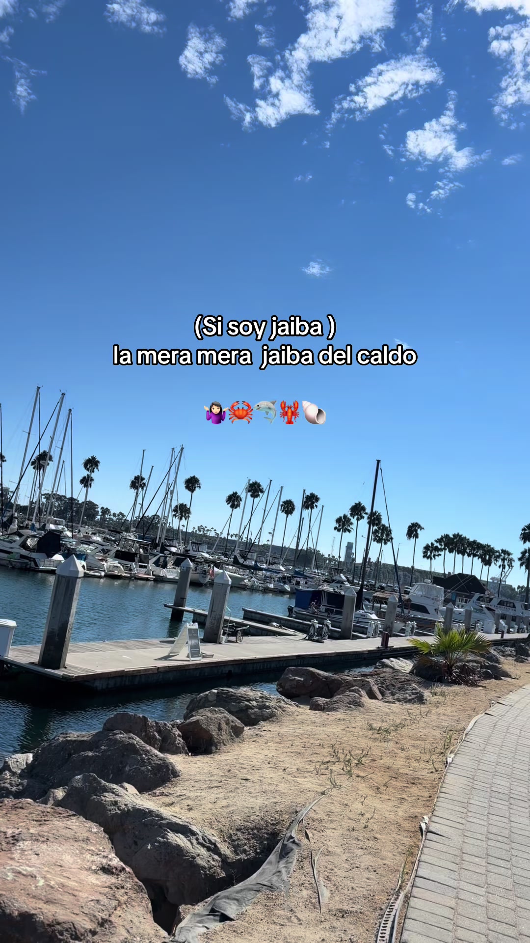 @Viky 0rtiz 🇲🇽🎭🩸💙