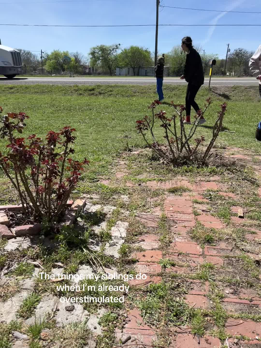 @Genesis Molina6735s