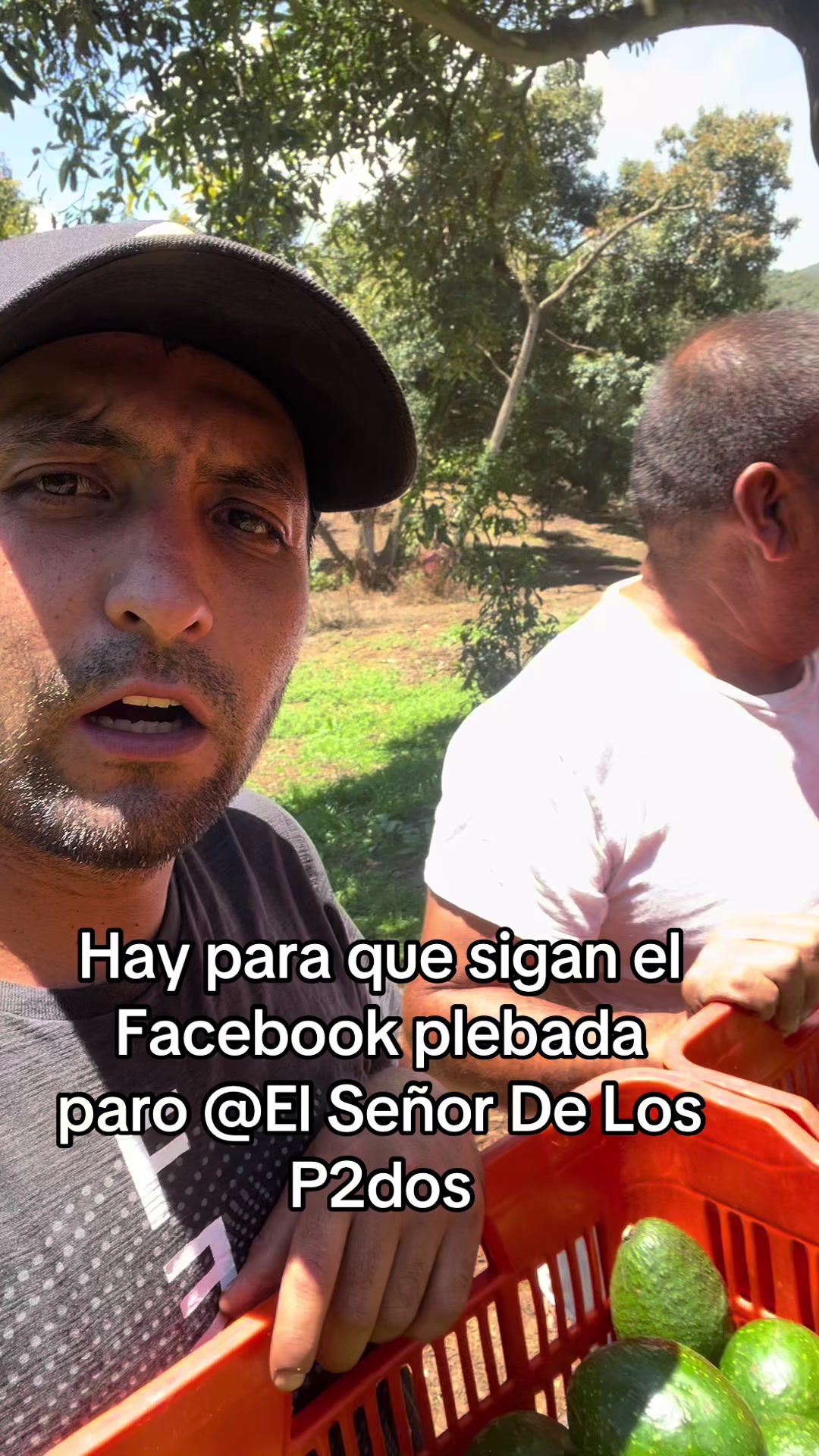 @EL SEÑOR DE LOS PEDOS