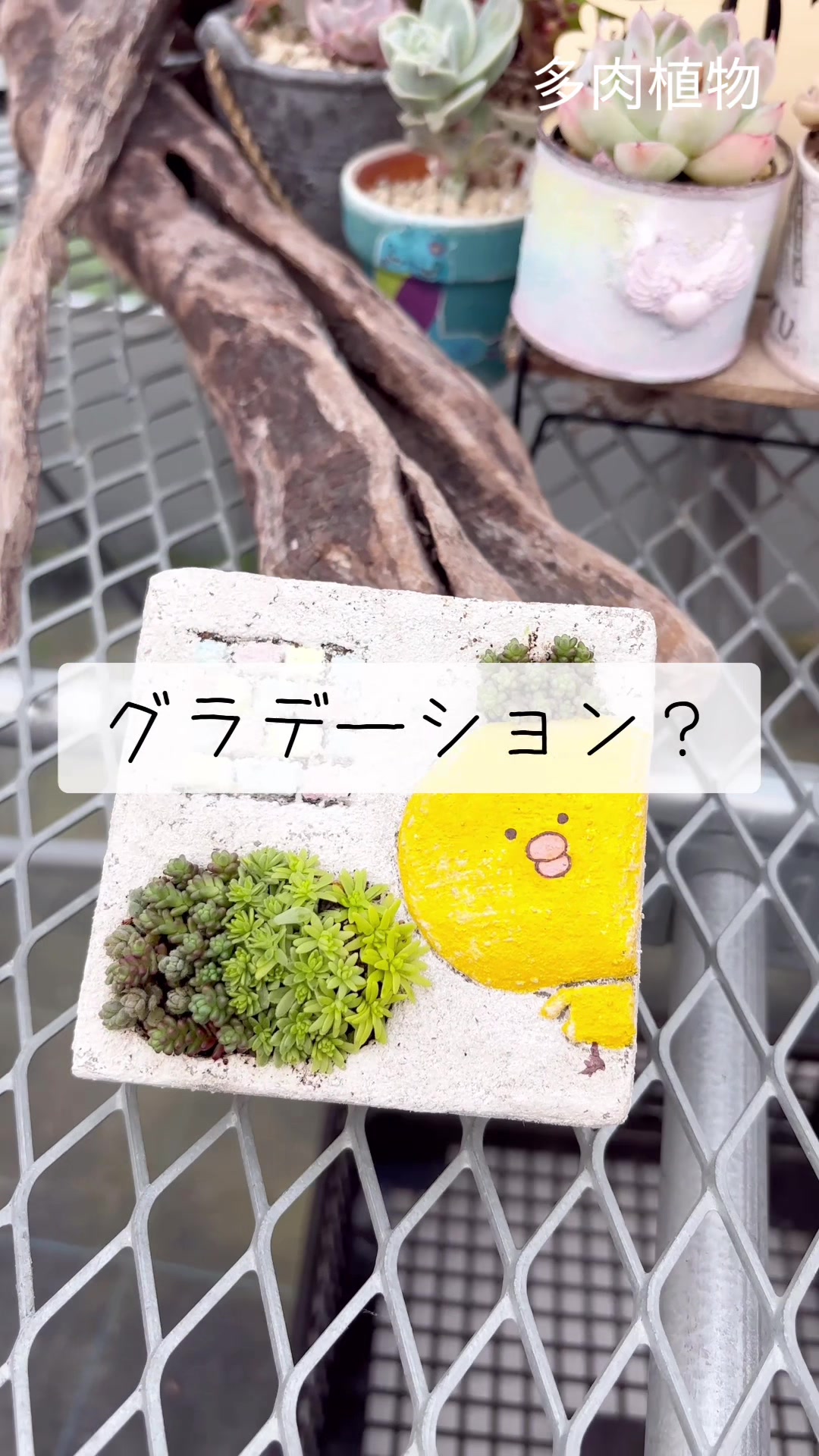 @さきゅまる~こぴとSHOP