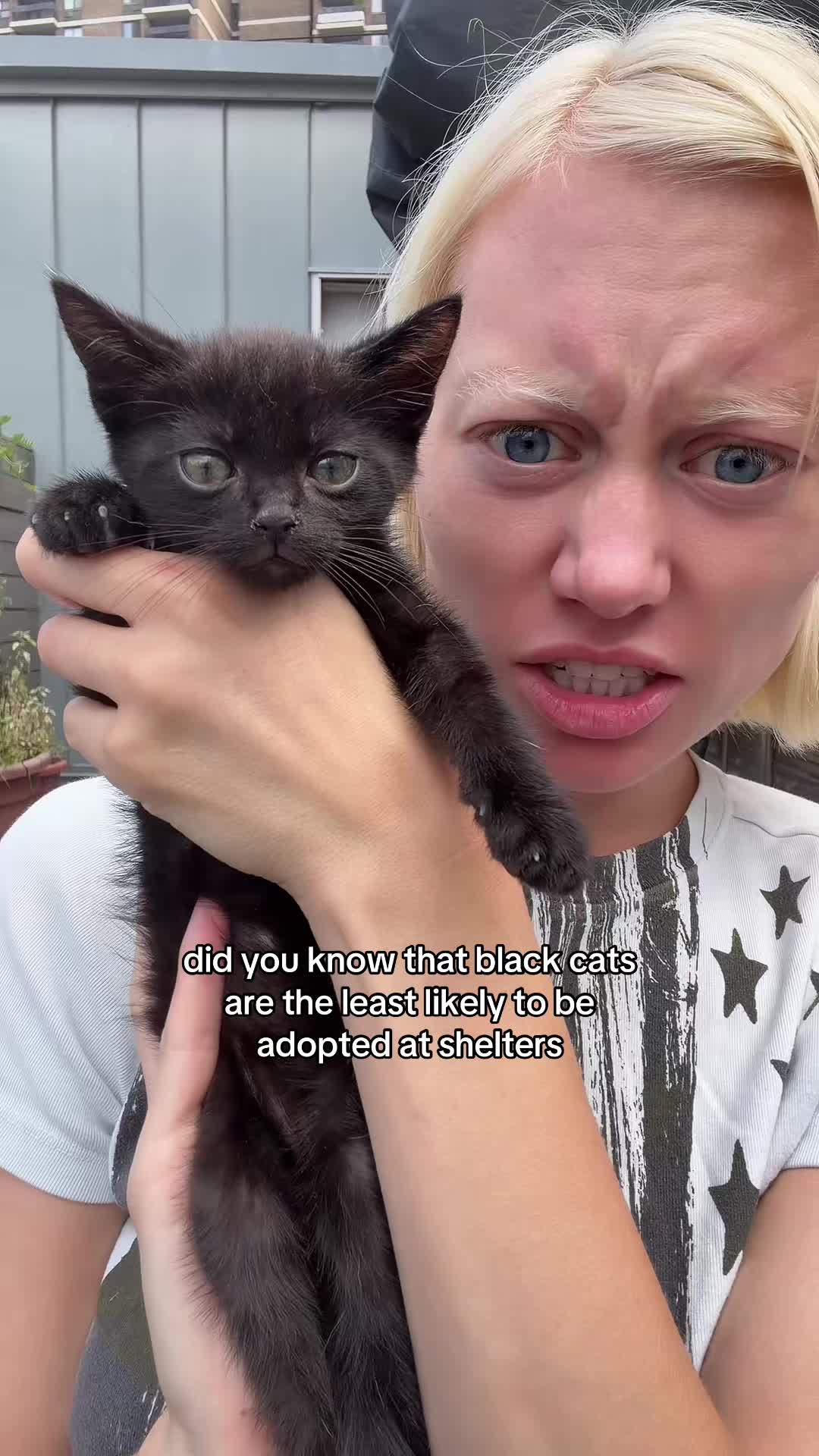 @KITTY