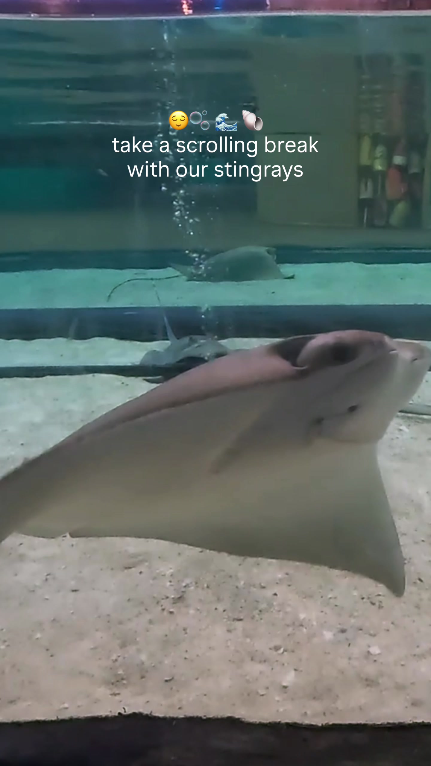 @The Florida Aquarium