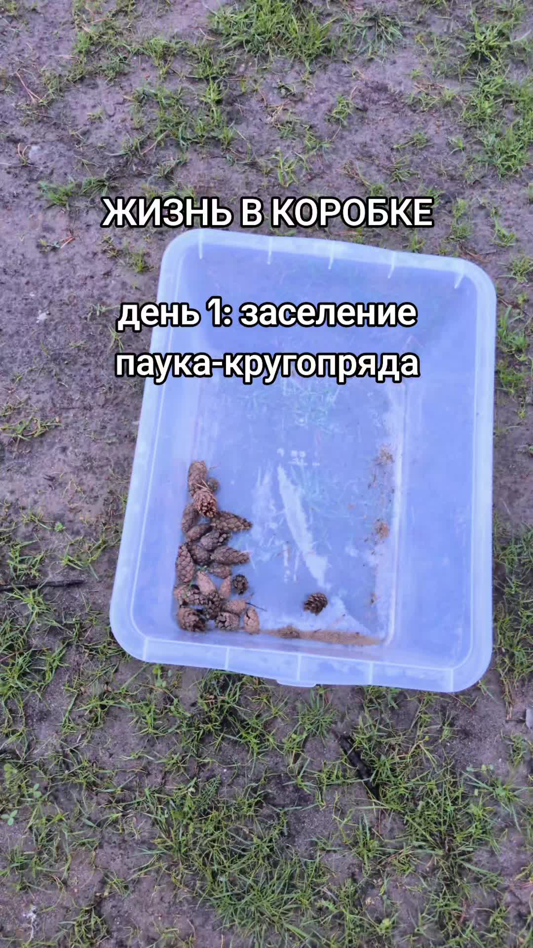 @ЖИЗНЬ В КОРОБКЕ