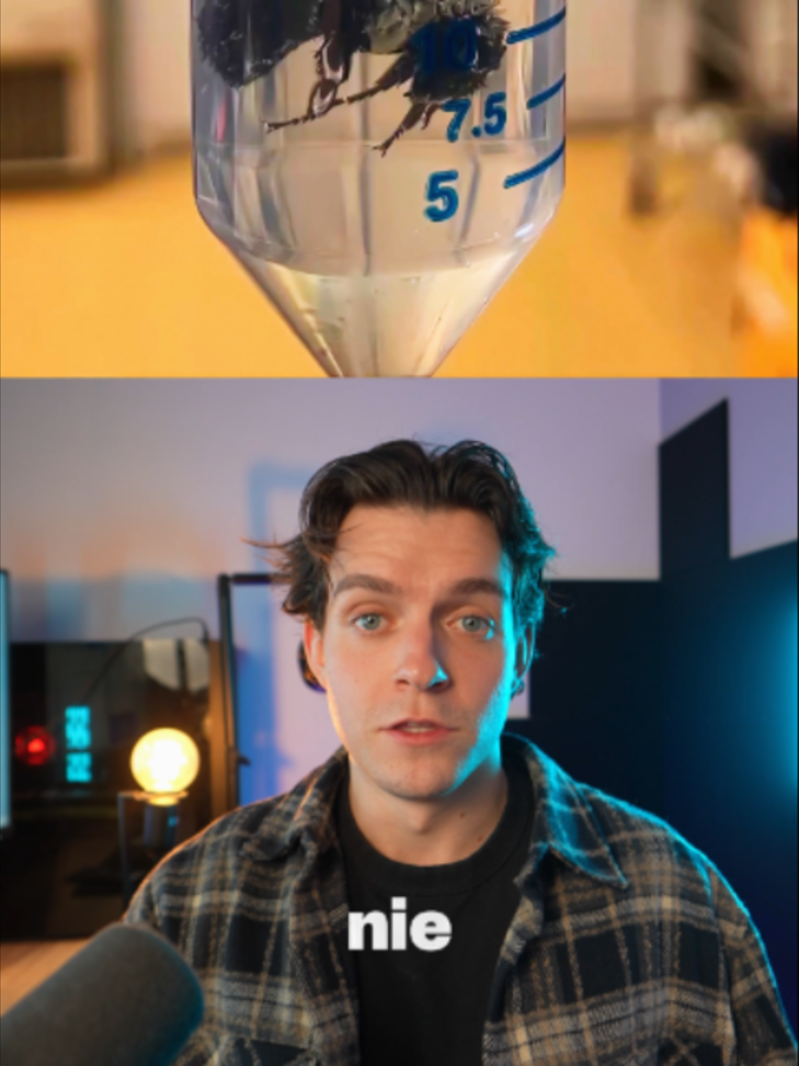 @Nikodem Rudziński