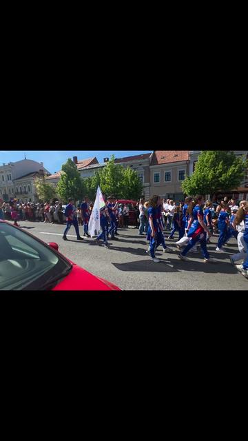 @Vulpița.Alina.Izabela.Popa.3