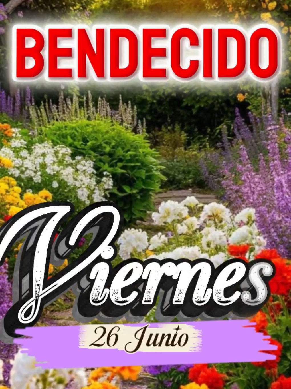 @Arely Mendoza Frases bonitas
