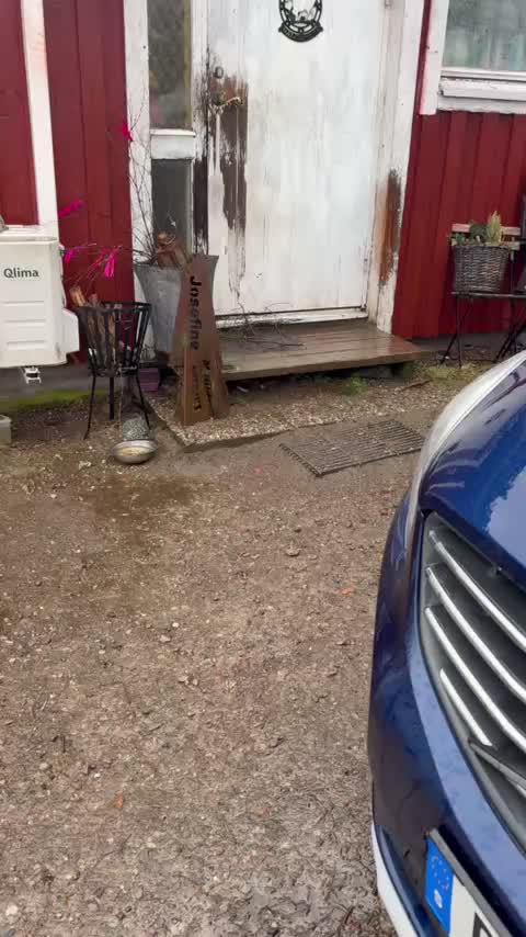 @Stall skogstokig
