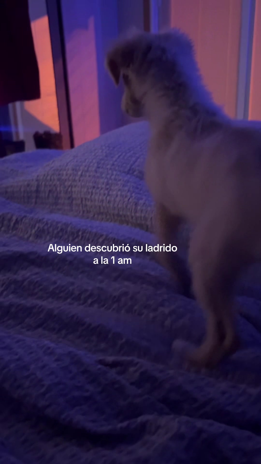 @eli_teran13