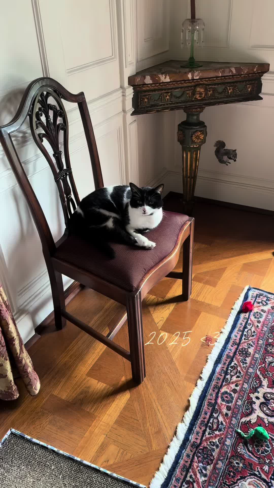 @zümrüt