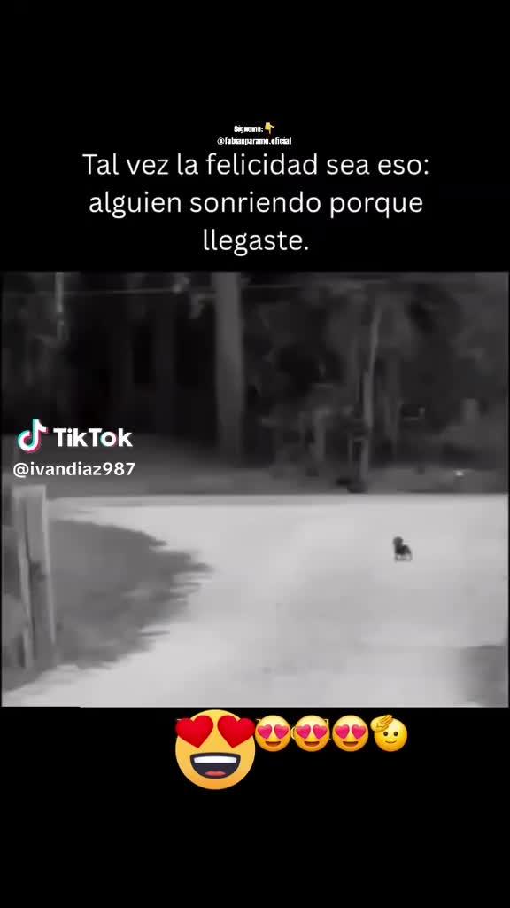 @Alexander✅️
