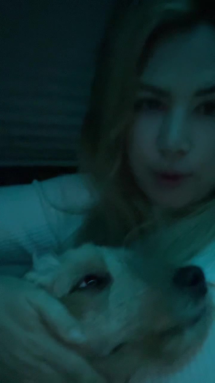 @nowwhatpup